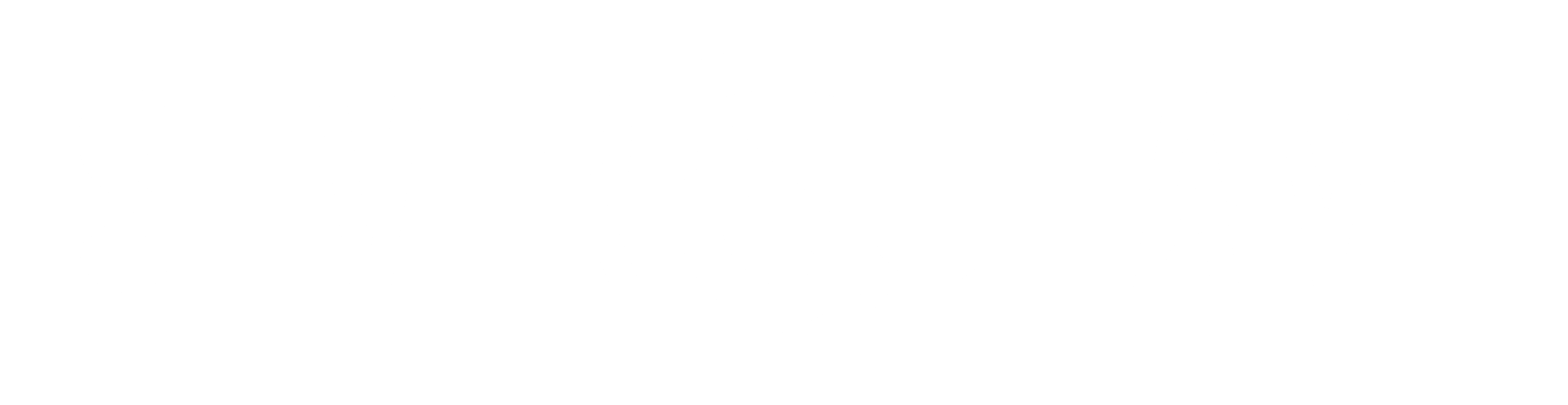 Silver & Flame Text Logo